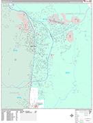 Carson City Wall Map Premium Style